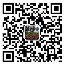 扫一扫添加微信